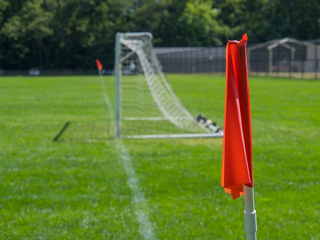 国王主帅：交易截止日即将到来，我们必须应对各种事情的发生